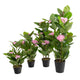Artificial Pink Hydrangea Tree Closer2Nature