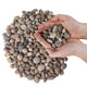 Natural Indoor/Outdoor Decorative Smooth Scottish River Stones 1-4kg - Closer2Nature