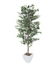 Artificial 6ft Variegated Weeping Fig Tree - Closer2Nature