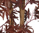Artificial 5ft 6" Chestnut Brown Japanese Maple Tree - Closer2Nature