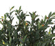 Artificial 5ft Olive Tree - Closer2Nature