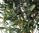 Artificial 5ft Olive Tree - Closer2Nature