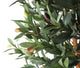 Artificial 5ft Olive Tree - Closer2Nature