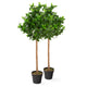 Artificial Bay Tree Pairs - Closer2Nature