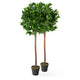 Artificial Bay Tree Pairs - Closer2Nature