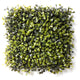 Artificial 25cm Boxwood Matting