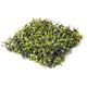 Artificial 25cm Boxwood Matting