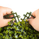 Artificial 25cm Boxwood Matting