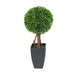 Artificial 2ft Boxwood Tree Ball Topiary - Closer2Nature