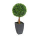 Artificial 2ft Boxwood Tree Ball Topiary - Closer2Nature