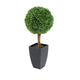 Artificial 2ft Boxwood Tree Ball Topiary - Closer2Nature
