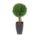 Artificial 2ft Boxwood Tree Ball Topiary - Closer2Nature