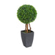 Artificial 2ft Boxwood Tree Ball Topiary - Closer2Nature