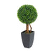 Artificial 2ft Boxwood Tree Ball Topiary - Closer2Nature