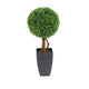 Artificial 2ft Boxwood Tree Ball Topiary - Closer2Nature