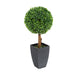 Artificial 2ft Boxwood Tree Ball Topiary - Closer2Nature