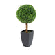 Artificial 2ft Boxwood Tree Ball Topiary - Closer2Nature