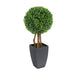 Artificial 2ft Boxwood Tree Ball Topiary - Closer2Nature