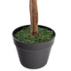 Artificial 3ft Double Boxwood Ball Tree - Closer2Nature