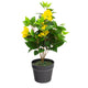 Artificial Yellow Bougainvillea Plant - Closer2Nature