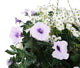 Artificial White and Purple Rose, Daisy and Morning Glory Display in a 14″ Round Willow Hanging Basket - Closer2Nature