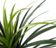 Artificial 3ft 6″ Pandan Plant - Closer2Nature