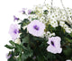 Artificial White and Purple Rose, Daisy and Morning Glory Display in a 14″ Round Willow Hanging Basket - Closer2Nature
