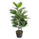 Artificial 2ft 9" Rubber Plant - Closer2Nature