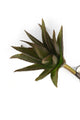 Artificial 25cm Single Stem Aloe Vera - Closer2Nature