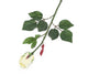 Artificial 60cm Single Stem Closed Bud Cream Rose - Closer2Nature