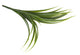 Artificial 45cm Green Yucca Plug Plant - Closer2Nature