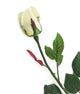 Artificial 60cm Single Stem Closed Bud Cream Rose - Closer2Nature