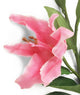 Artificial 87cm Single Stem Pink Oriental Lily - Closer2Nature