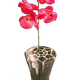WebVase Flower Arranging Aid