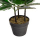 Artificial 2ft 9" Rubber Plant - Closer2Nature