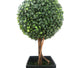 Artificial 2ft Boxwood Tree Ball Topiary - Closer2Nature