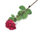 Artificial 72cm Single Stem Fully Open Magenta Rose - Closer2Nature