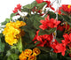 Artificial Red and Yellow Begonia Display in a 10″ Round Willow Hanging Basket - Closer2Nature