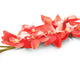 Artificial 84cm Single Stem Coral Red Cymbidium Orchid - Closer2Nature