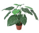 Artificial 2ft Taro Plant - Closer2Nature