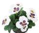 Artificial 30cm White Pansy Plug Plant - Closer2Nature