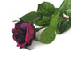Artificial 70cm Single Stem Half Open Purple Rose - Closer2Nature