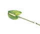 Artificial 64cm Single Stem Green Anthurium - Closer2Nature