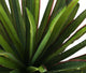 Artificial 2ft 1″ Yucca Plant - Closer2Nature