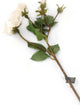 Artificial 87cm Single Stem Ivory Spray Rose - Closer2Nature