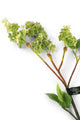 Artificial 76cm Single Stem Green Lilac Blossom - Closer2Nature