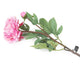 Artificial 80cm Single Stem Pink Peony - Closer2Nature