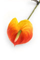 Artificial 64cm Single Stem Orange and Yellow Anthurium - Closer2Nature