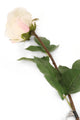 Artificial 72cm Single Stem Fully Open White Rose - Closer2Nature