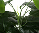Artificial 4ft Calla Lily Plant - Closer2Nature